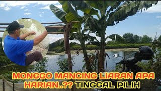 Spot Mancing Liar Terbaru di Kota Surabaya