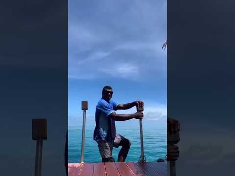 Seventh Heaven Fiji