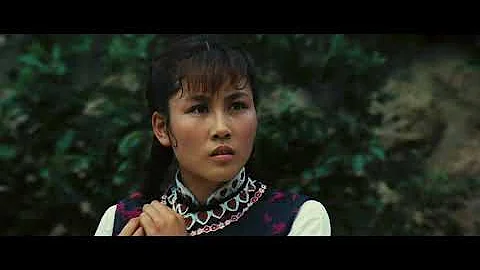 Jackie Chan and Pearl Lin Fight Scene - Dragon Fis...