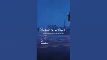 القرآن الكريم بصوت ياسر الدوسري #ياسر_الدوسري #المصحف #الرحمن #لايك #اكسبلور #القران #حالات_واتس