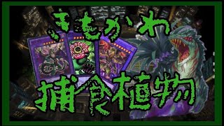 【遊戯王マスターデュエル】きもかわ生物【対戦相手募集】