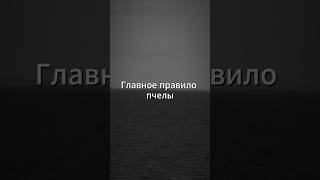 Почему спорить бесполезно? #мудрость#психология#энергия#саморазвитие#осознанность#пустыеспоры#успех