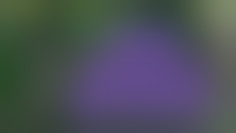 How to use Script in Game Guardian