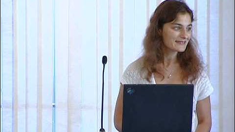 Session 2:  Economics of Ambiguity and Ambiguity Aversion