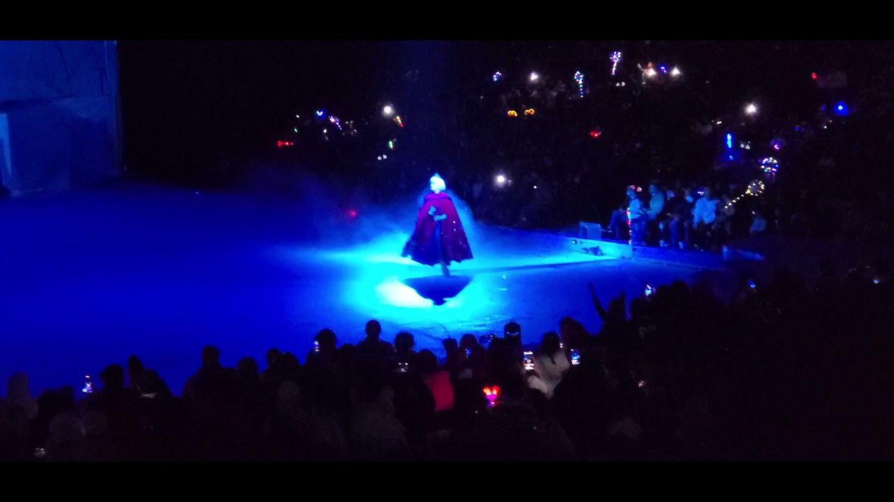 Disney on Ice 2021 at the Barclays Center. Frozen: Elsa, Anna, Kristof and much more.