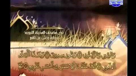 العيون الكوشي - سورة التين