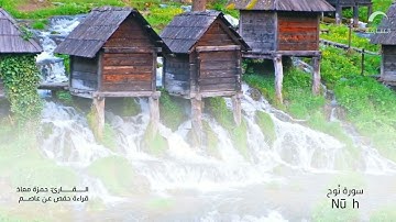 71 سورة نوح | القارئ :حمزة معاذ