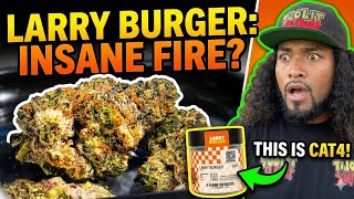 Larry Burger Cat4 #california #fyp #review 