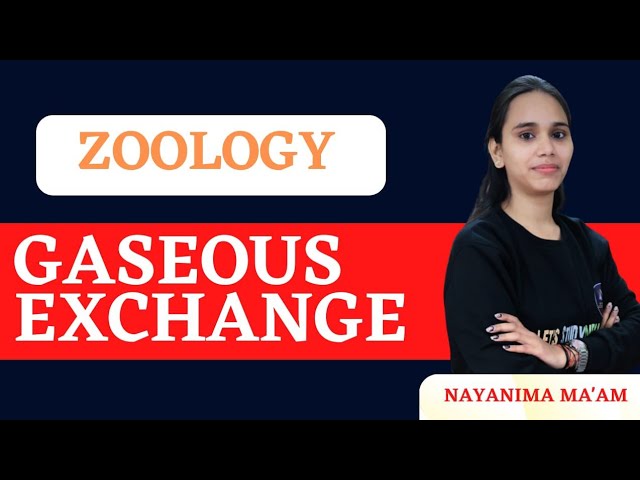 Gaseous Exchange | B.Sc. Zoology 2nd Semester | Nayanima Ma'am |