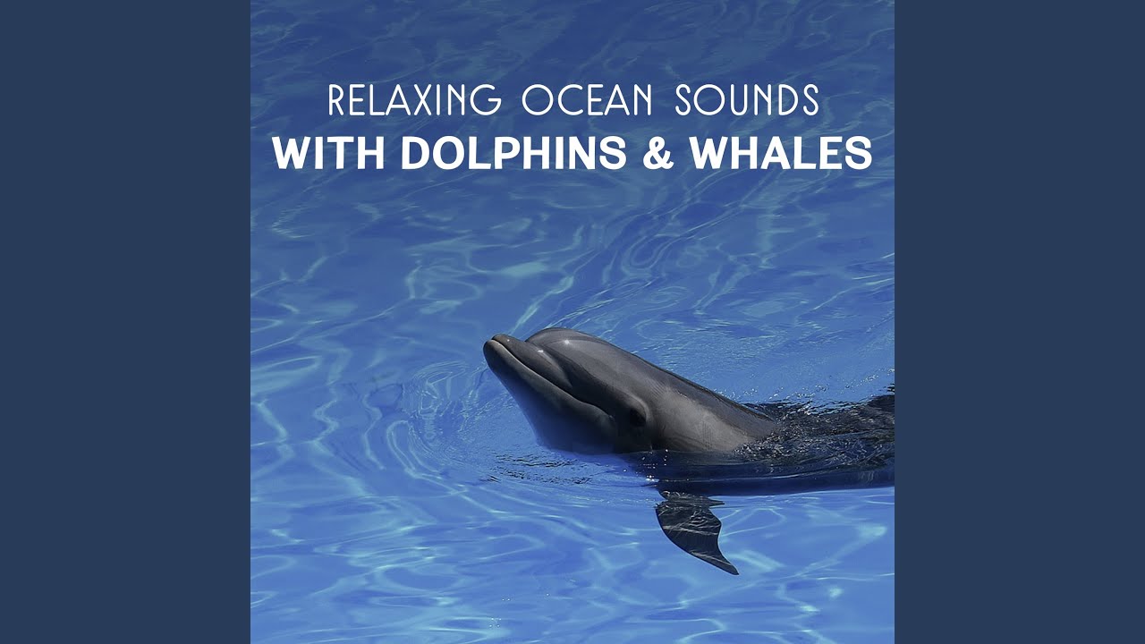 Healing Songs Of Dolphins And Whales