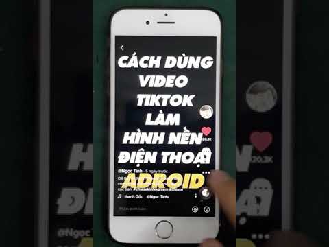 hình ảnh cách tải video tiktok không logo trên iphone