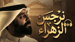 نرجس الزهراء | أحمد صديق
