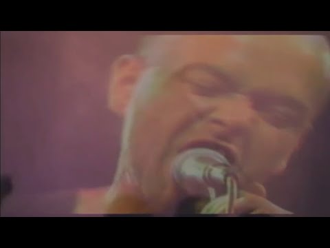 Regtest (Happy Valley Rock) - Sumo [Video]