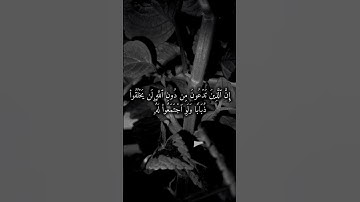تلاوة خاشعة من سورة الحج للشيخ ياسر الدوسري #ارح_سمعك #تلاوة_خاشعة #القرآن #راحة_نفسية #اكسبلور