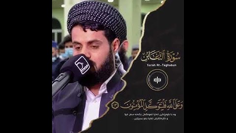 تلاوة خيالية🥺للقارئ رعد الكردي✋🏻.سورة التغابن👌🏻