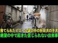 捨てられたビニール袋の中の秋田犬の子犬…絶望の中で起きた信じられない出来事