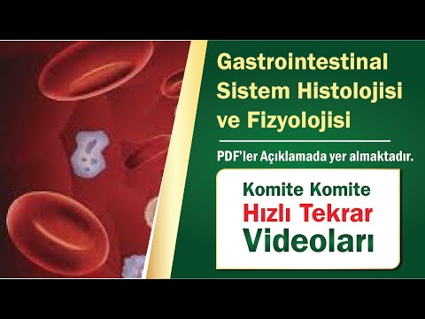 07 | Gastrointestinal Sistem Histolojisi ve Fiz. - Hızlı Tekrar