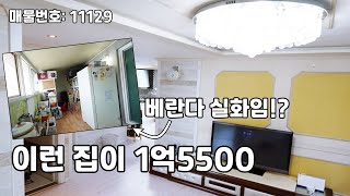 완전 큰 통베란다가 있는 안산 본오동 빌라 구경하세