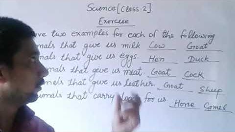 Science Class 2 Unit 2 Animal Life