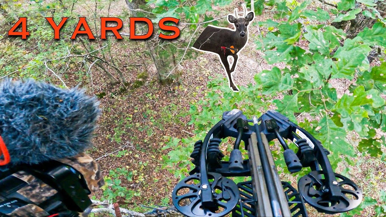 I Shot a Spike with a Crossbow! (Hand Injury Update) - YouTube