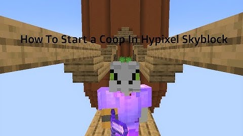 How To Start a Coop In Hypixel Skyblock