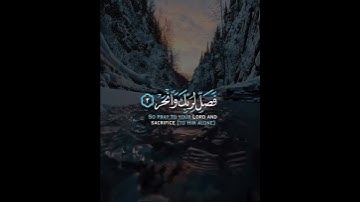 سورة الكوثر | القارئ عبدالرحمن مسعد