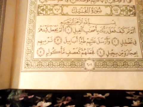 الم تر كيف فعل ربك باصحاب الفيل الم يجعل كيدهم في تقليم وارسل عليهم طيرا بيبي ترميهم بحجاره من