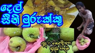 දෙල් සීනි මුරුක්කු Crispy Breadfruit | del hadana hati del sini murukku Traditional Kitchen