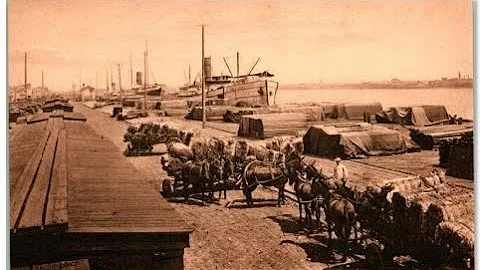 Selling Vintage Postcards on Ebay : Titles Pricing Research Process Vintge Postcard Sales Ebay