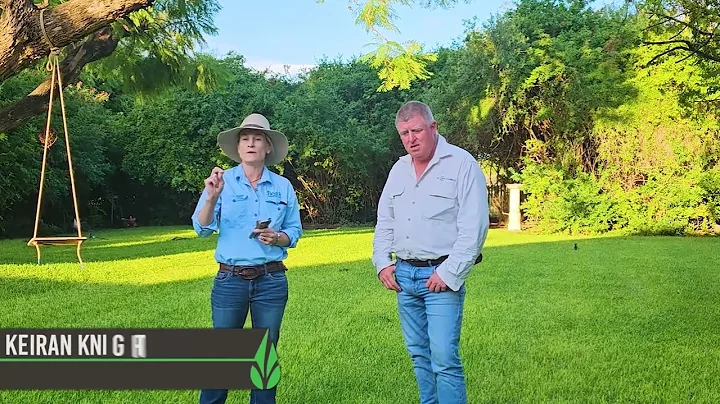 Understanding Brix Readings: A Practical Guide to Using a Refractometer