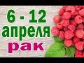 РАК  неделя с 6 по 12 апреля. Таро прогноз гороскоп