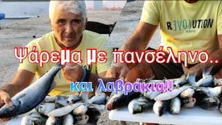 Κι όμως, ψάρια.. υπάρχουν!!!