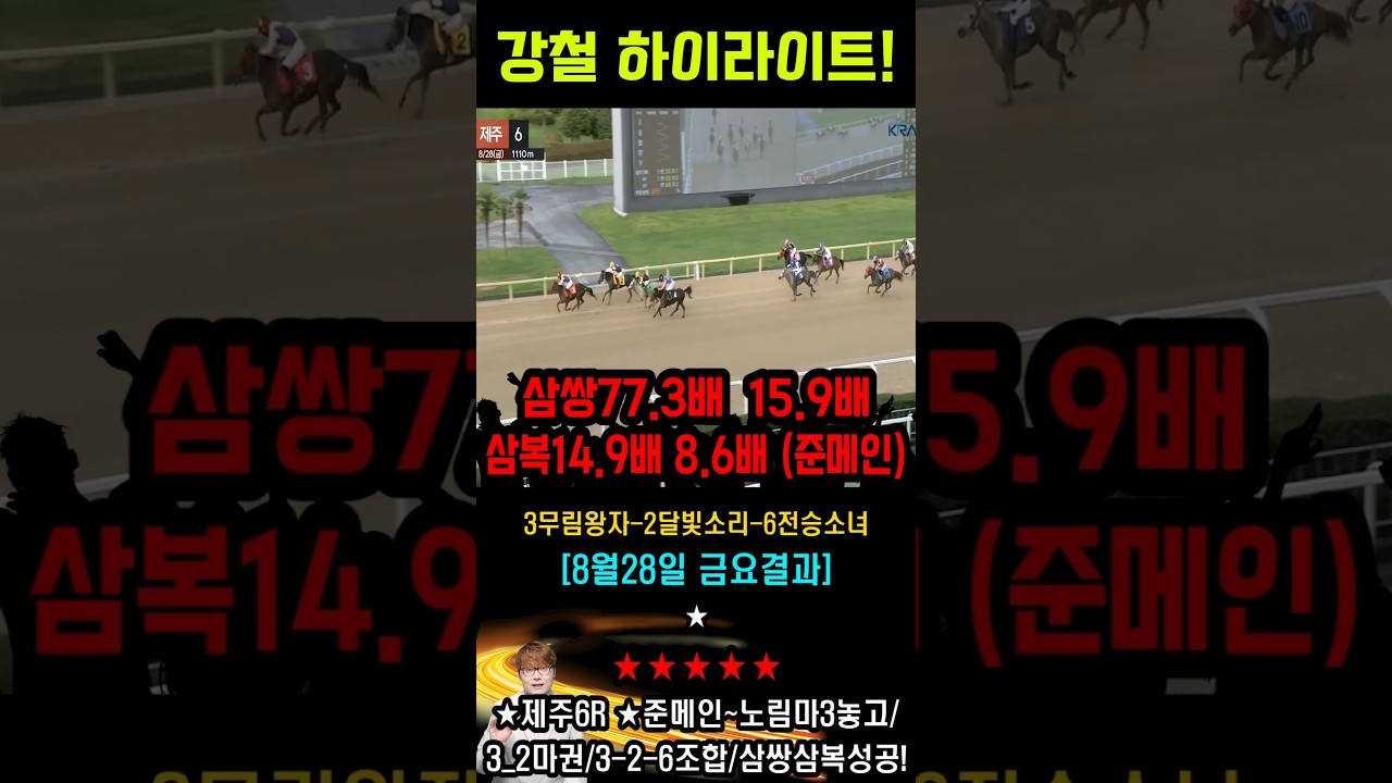 🟥경마🟥강철🥎대박마🎯적중🥇하이라이트🏀⚽강철 적중 하이라이트 0831