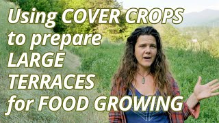 Soil Building Techniques for new TERRACED GARDEN BEDS:  Regenerative use of COVER CROPS for a garden