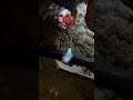 Damage to the cable line (CL)