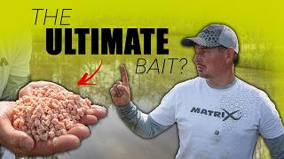 The Ultimate MEAT FISHING Guide with KIERAN MARSDEN | The Oaks Lakes