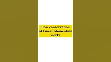 how Conservation of Linear Momentum works