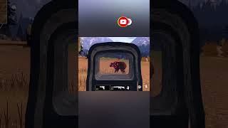 American Marksman-Gameplay Walkthrough short~Hunting Bear With Hand Gun~(iOS,Android) screenshot 2