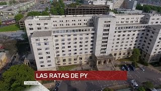 Las ratas de Comodoro Py