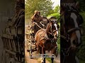 Warum heißt es eigentlich Export Bier?