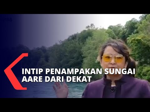 Video: Bolehkah anda berenang di sungai maitland?