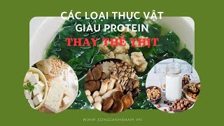 Các loại THỰC VẬT giàu protein THAY THẾ THỊT | Sống Lành Mạnh