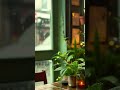 【自然音】やさしい雨音が叩くカフェの窓辺 1時間｜作業・休息〜緑に包まれる静かなカフェ ― Window Rain Cafe for Work/Relax 1h【ASMR】