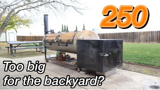 Is 250 Too Big For The Backyard? 1 Year Update & Biscuit Test