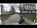 СЮЖЕТНЫЙ МОД НА ПЛАТФОРМЕ CALL OF MISERY - S.T.A.L.K.E.R. Дорога на север #1