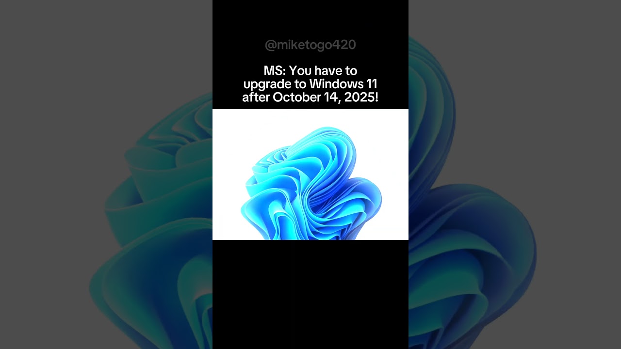 Windows 11 vs 10 LTSC! 🗿