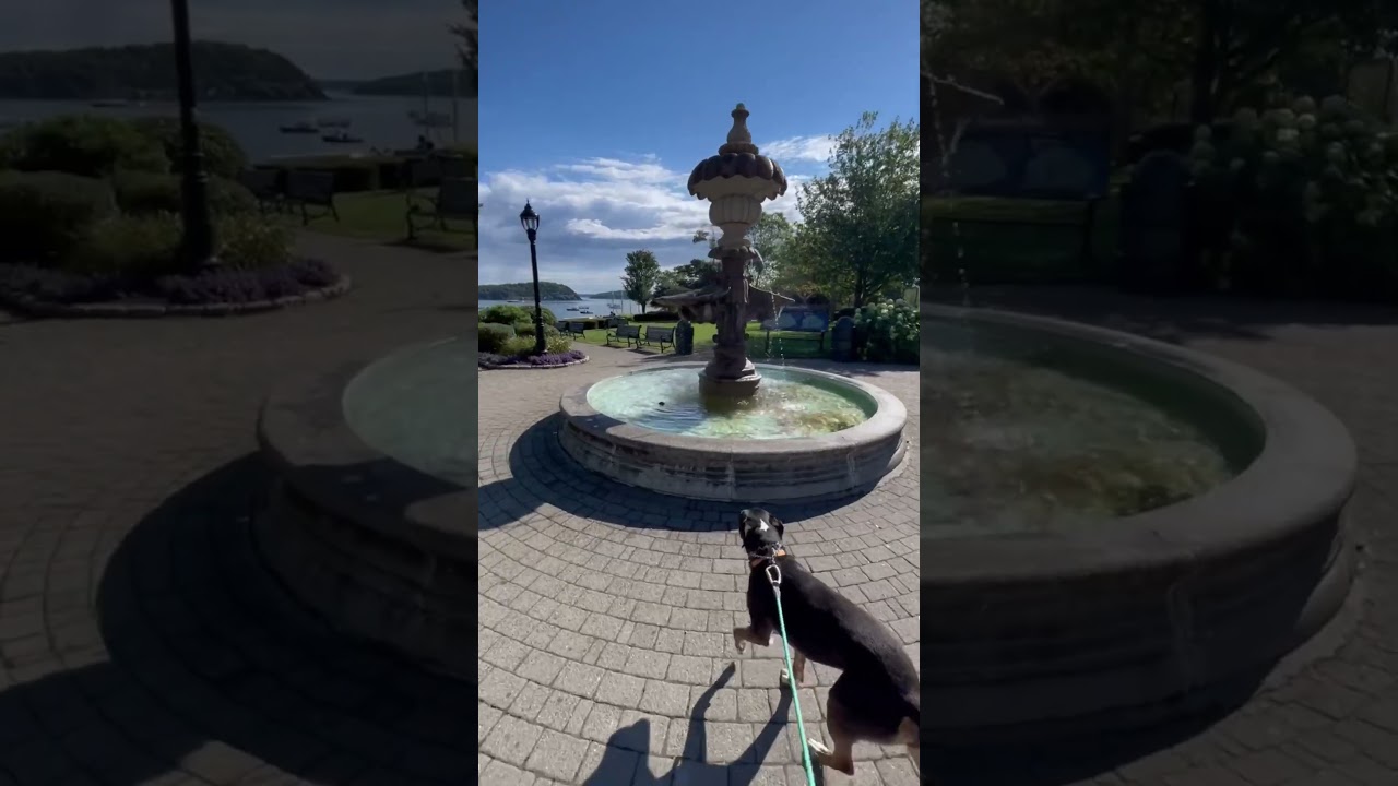 Bar Harbor, Maine is the charming town that is the gateway to Acadia National Park 