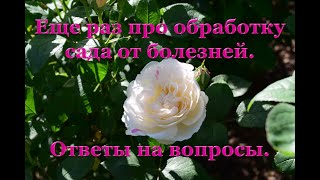 видео: Еще раз про обработку сада от болезней.  Ответы на вопросы. картинка: Еще раз про обработку сада от болезней.  Ответы на вопросы.
