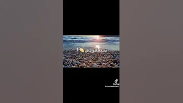 مهرجان بحر شر قام علينا حوده بندق 