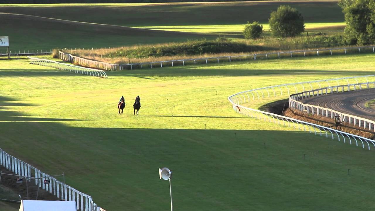 Stolen Dance Gallop Pre Zabeel Classic 22-12-15
